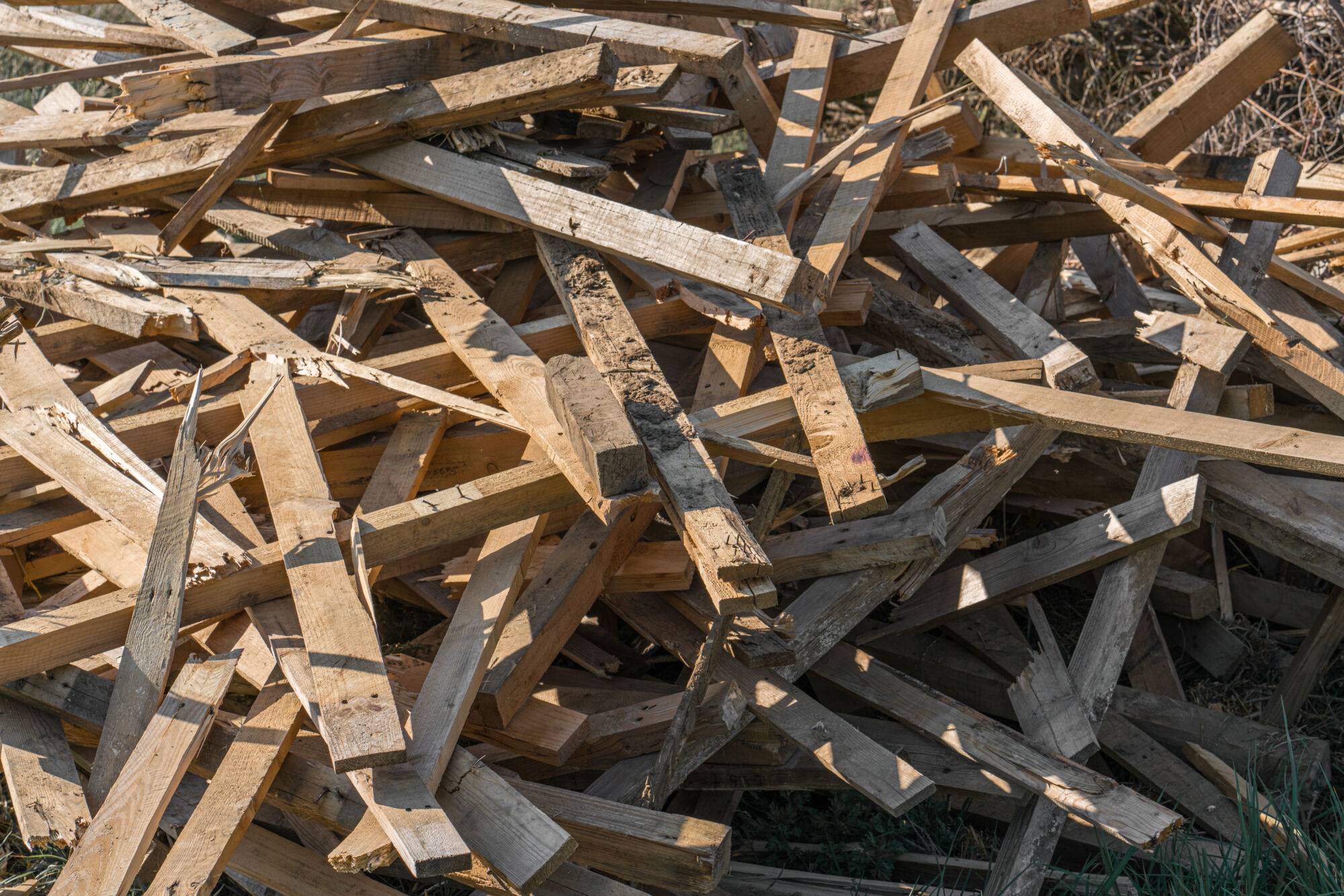Benne à bois et recyclage : que deviennent vos déchets après collecte ? Schiltigheim